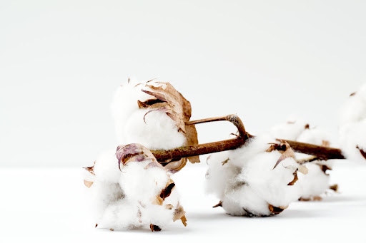 Cotton fiber - history of cotton